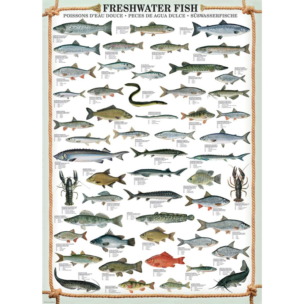 Freshwater Fish