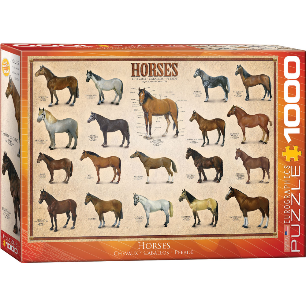 Horses (1000 Pieces)