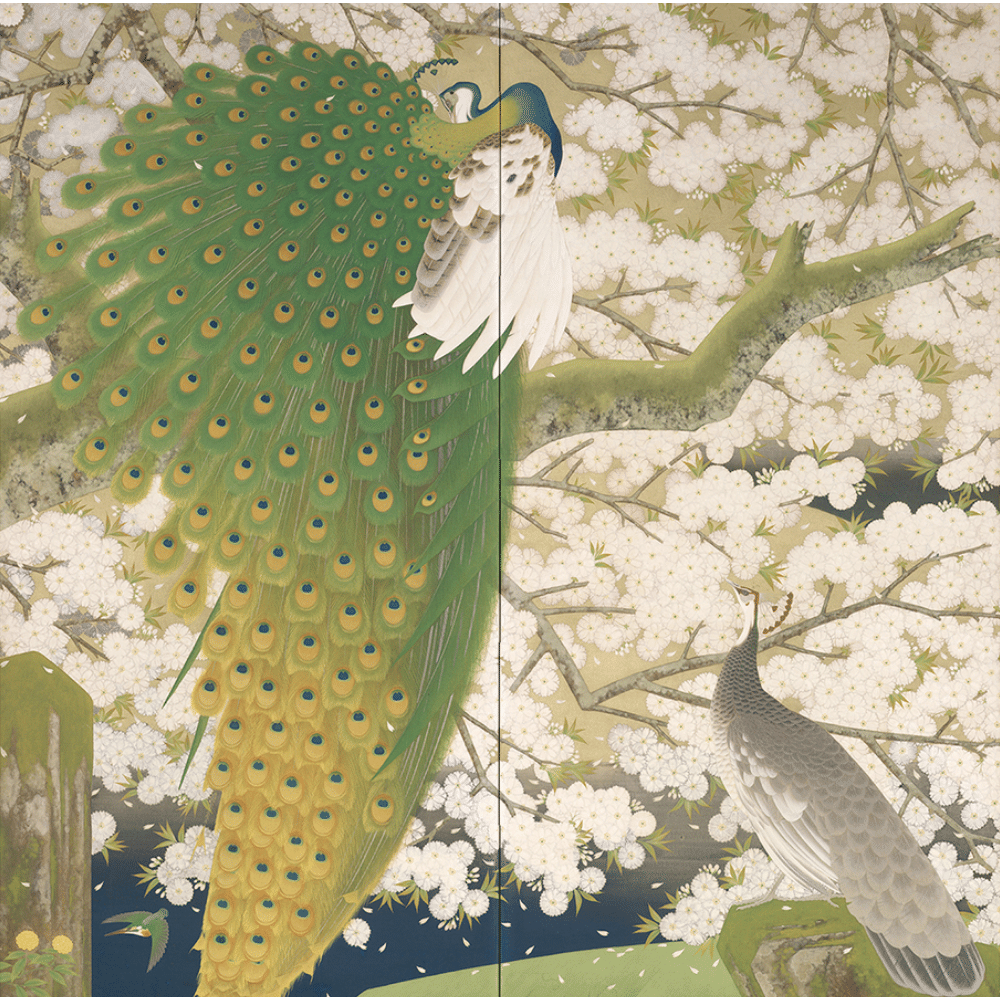 Imazu Tatsuyuki: Peacocks and Cherry Blossoms