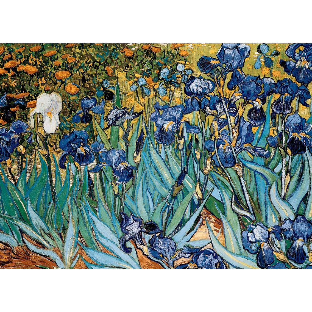 Van Gogh: Irises