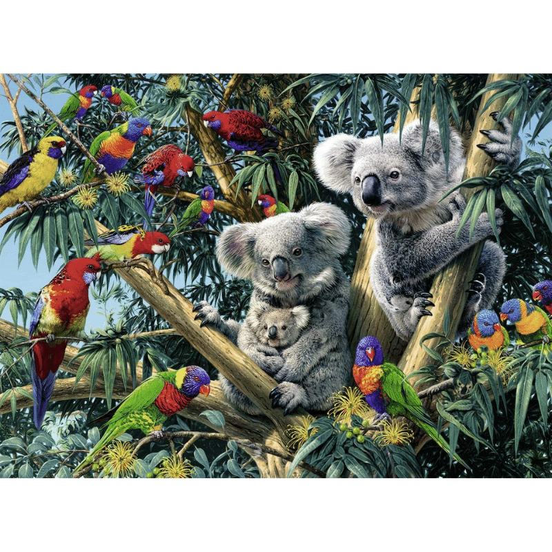 Koalas in a Tree