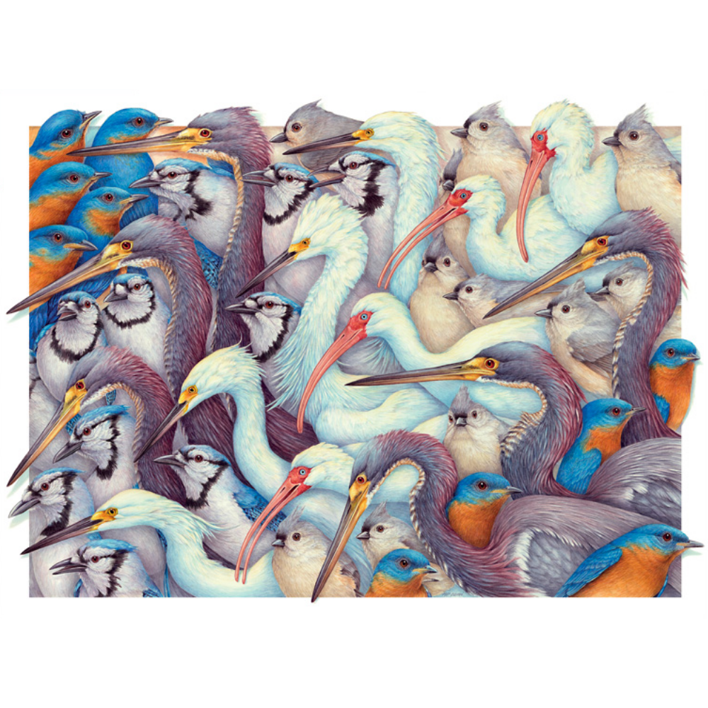 Matthew Bohan: Whites and Blues