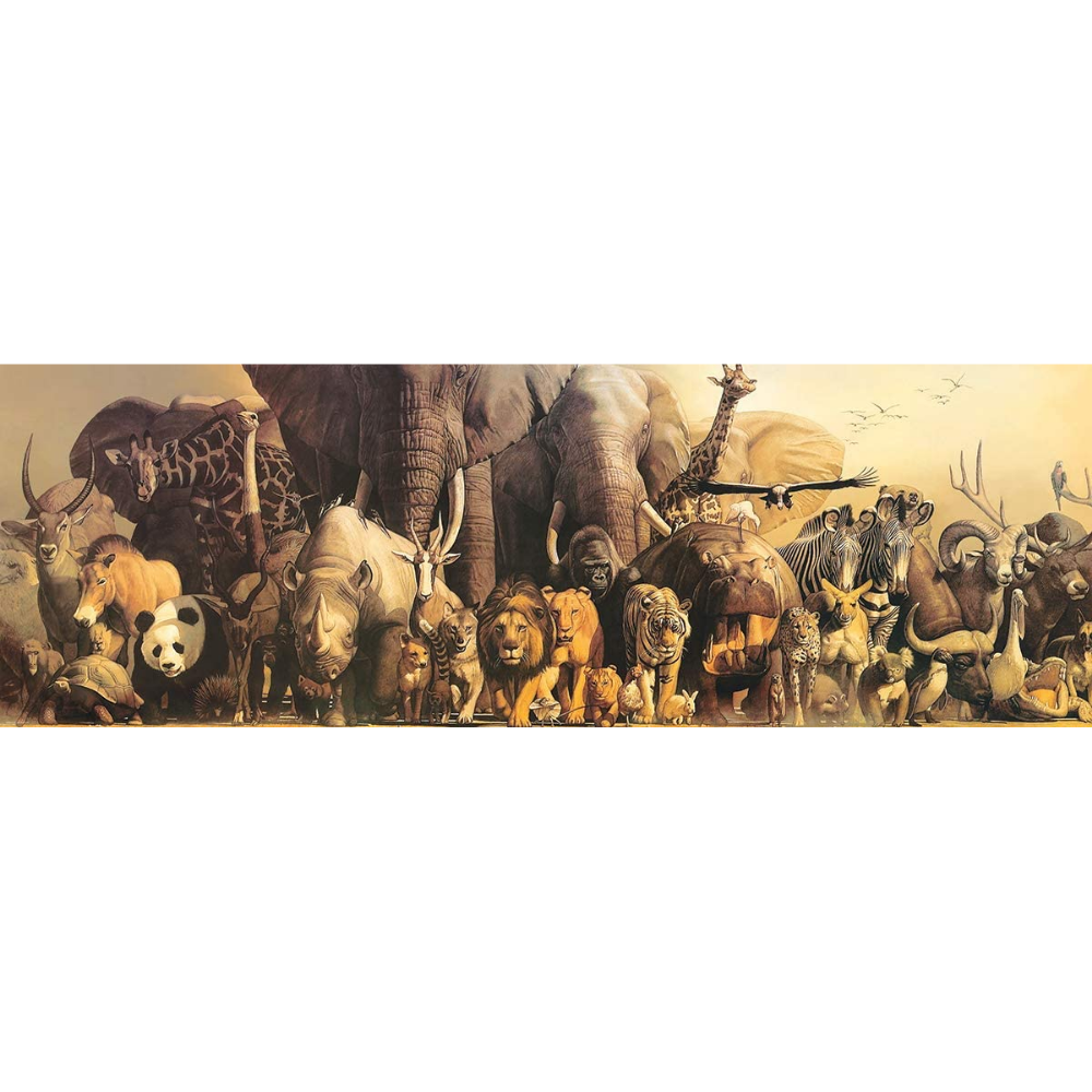 Noah's Ark