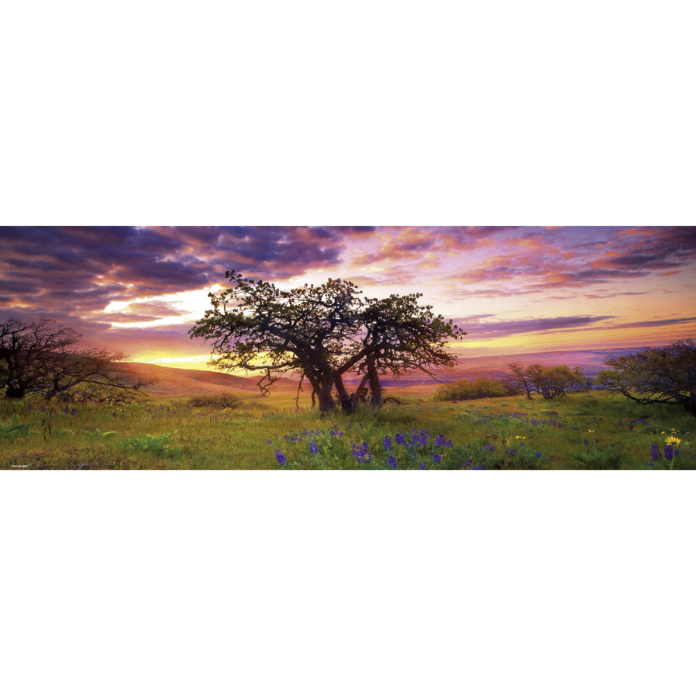 Oak tree (2000 Pieces)