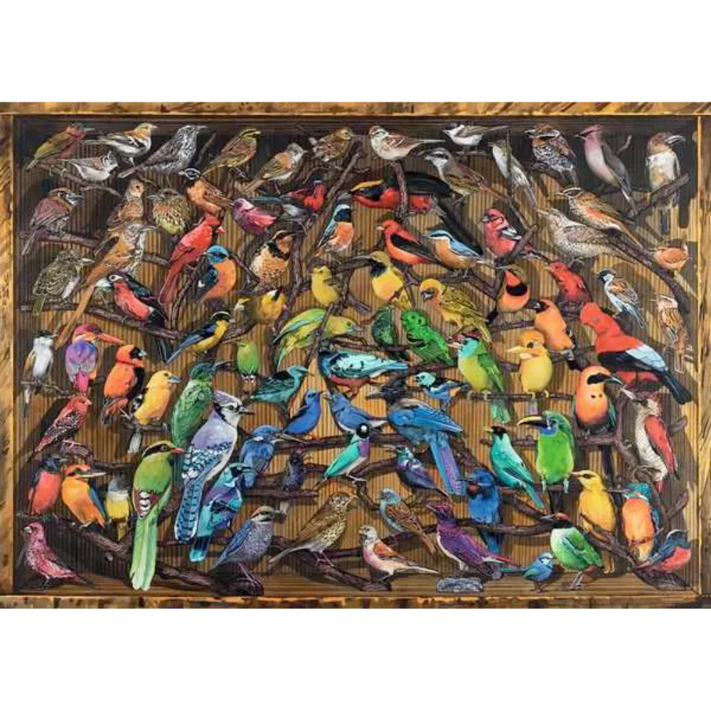 Rainbow of Birds