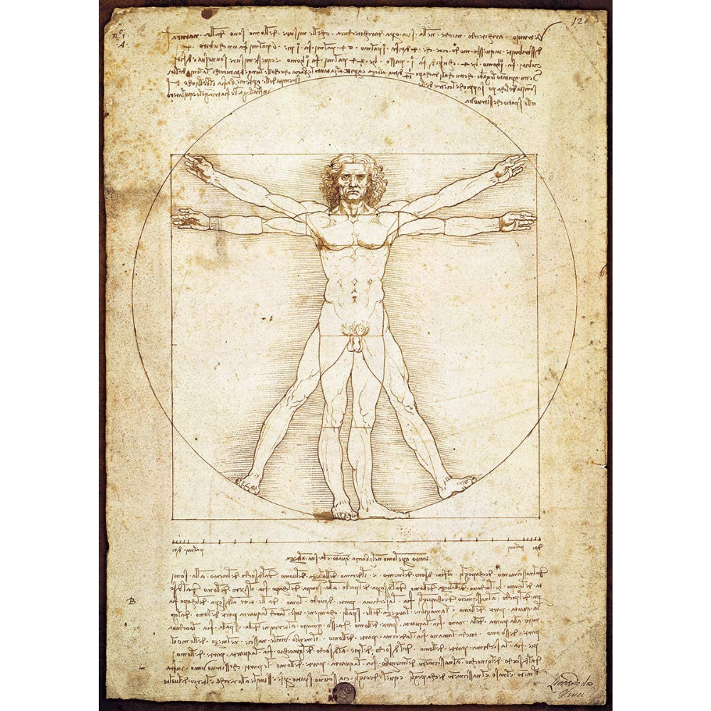 Leonardo Da Vinci: Schema delle Proporzioni (1000 Pieces)