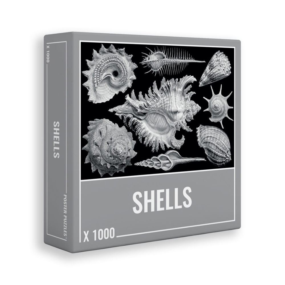 Shells