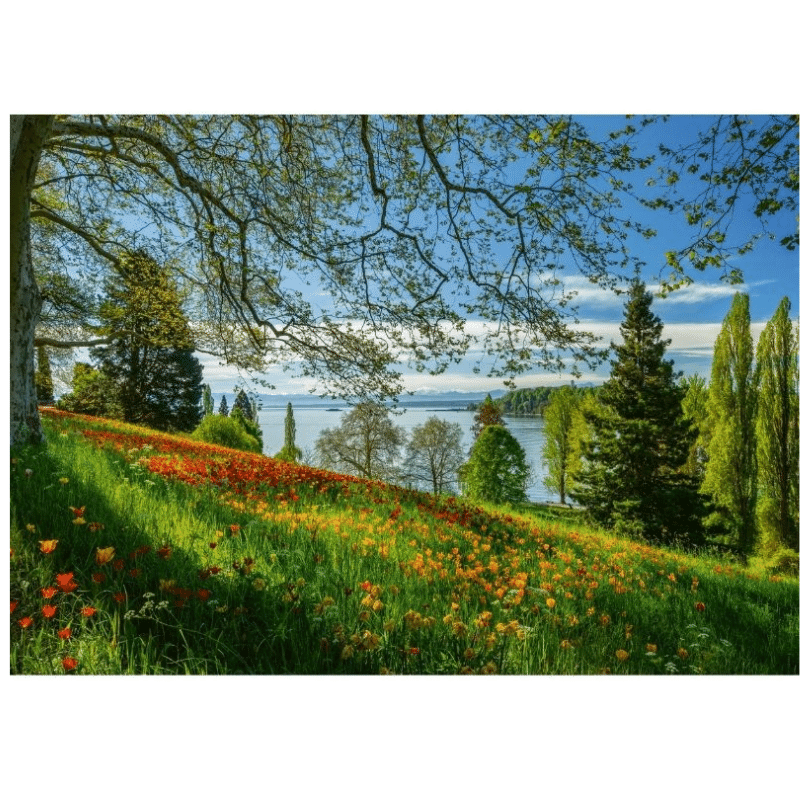 Spring Avenue, Mainau