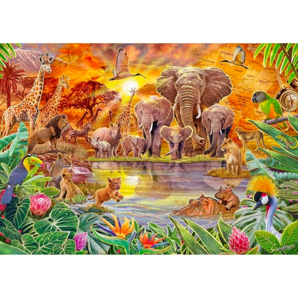 Steve Sundram: African Kingdom