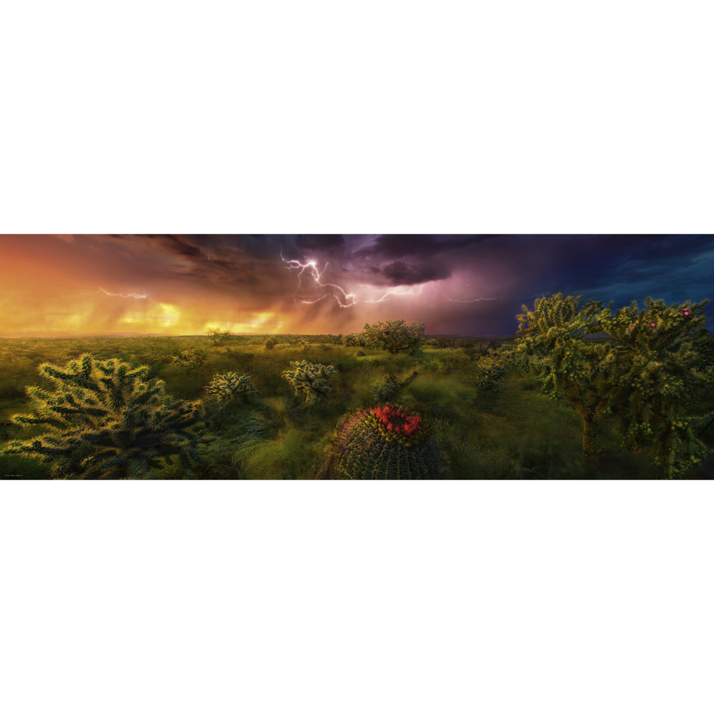 Stormy Horizon