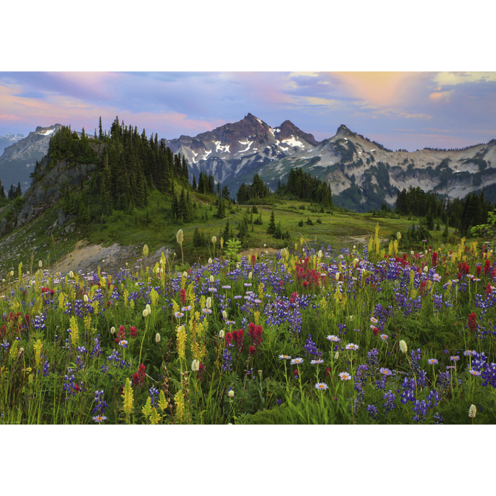 Tatoosh Mountains