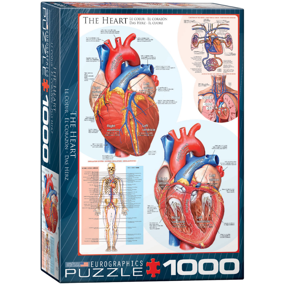 The Heart (1000 Pieces)