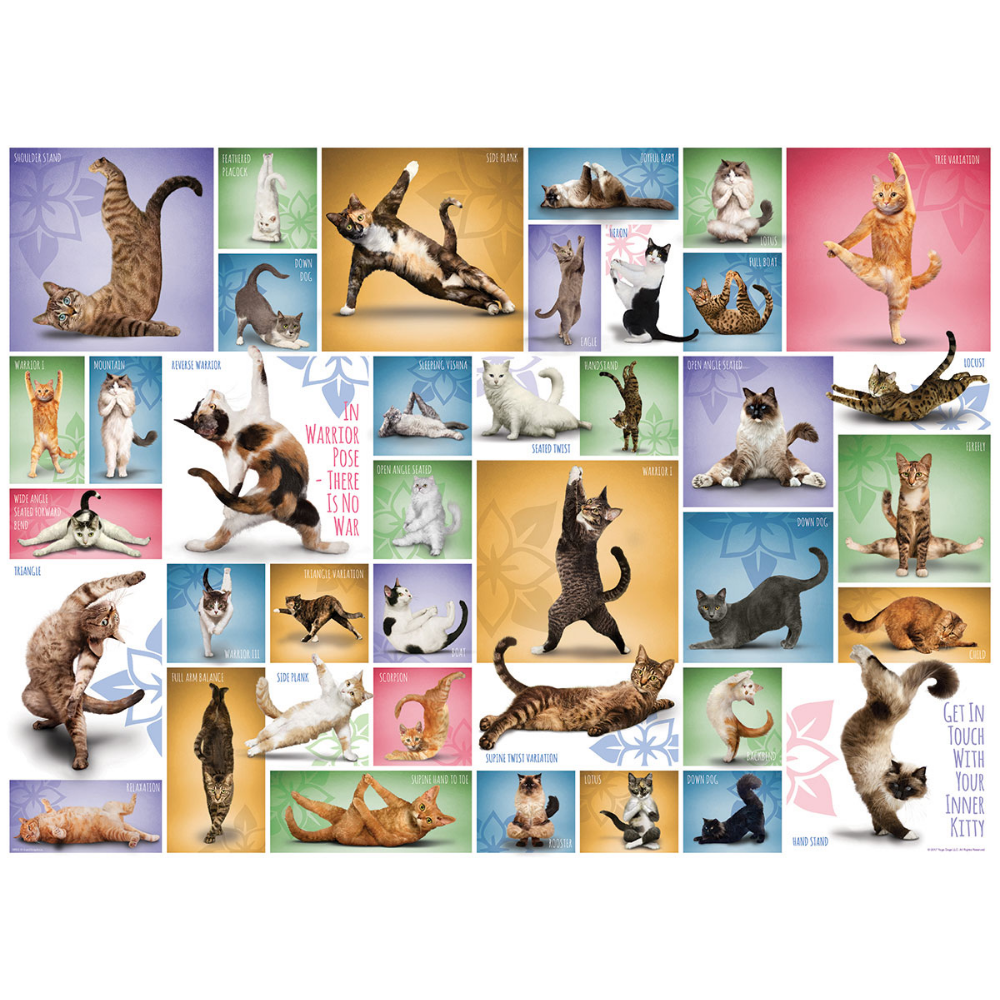 Yoga Cats (1000 Pieces)