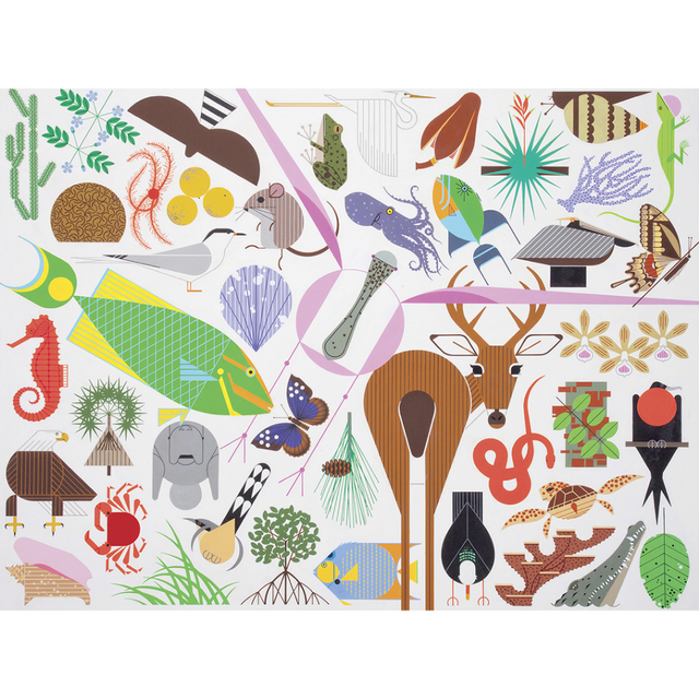 Charley Harper: Wildlife Wonders
