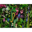 Deb Stoner: Chaos