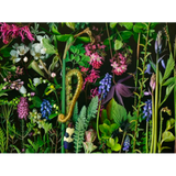 Deb Stoner: Chaos