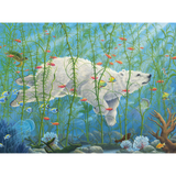 Robert Bissell: The Buffalo