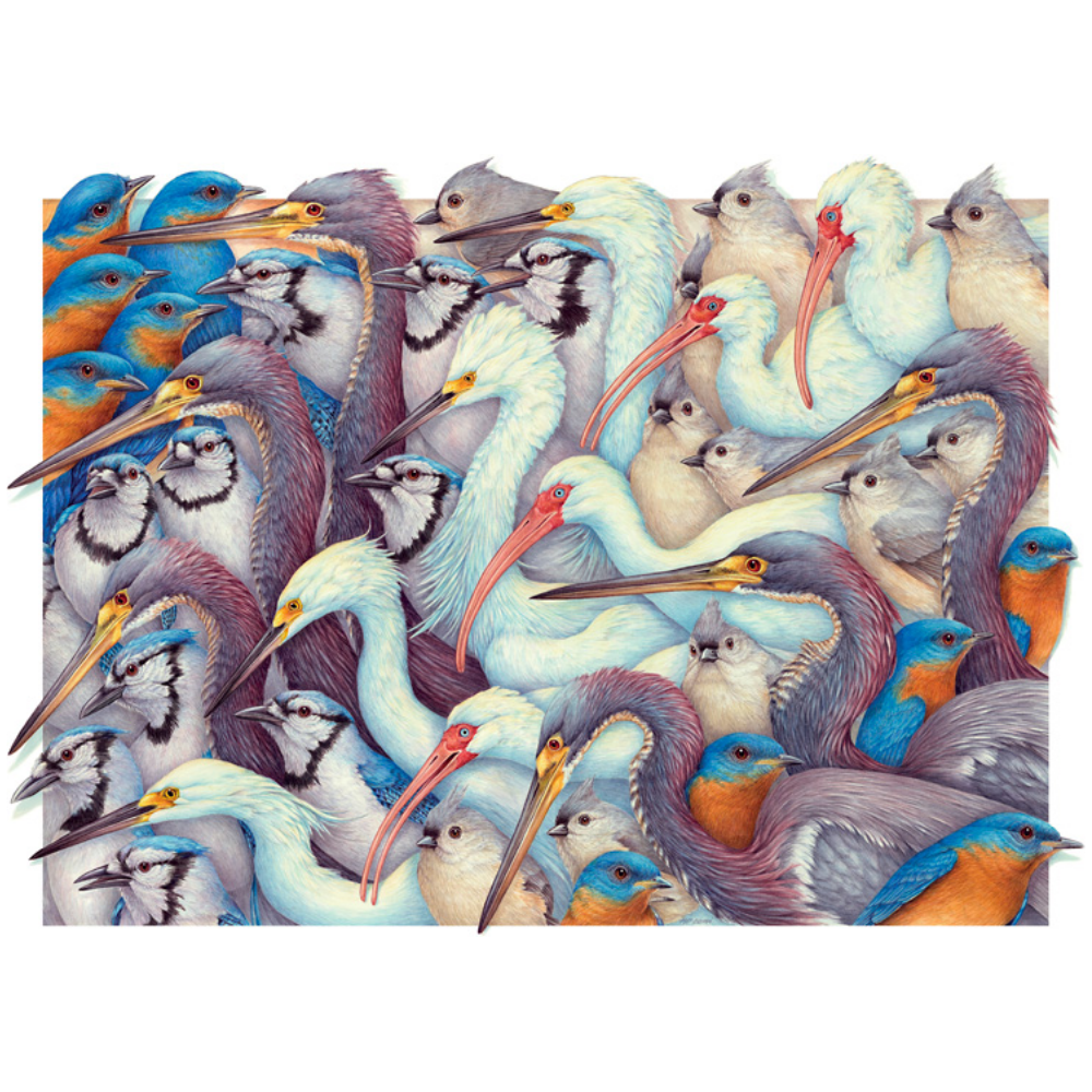 Matthew Bohan: Whites and Blues