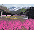 Kazuyuki Ohtsu: Flowers in Village