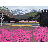 Kazuyuki Ohtsu: Flowers in Village
