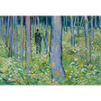 Van Gogh: Undergrowth-Two Figures