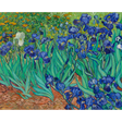 Van Gogh: Irises