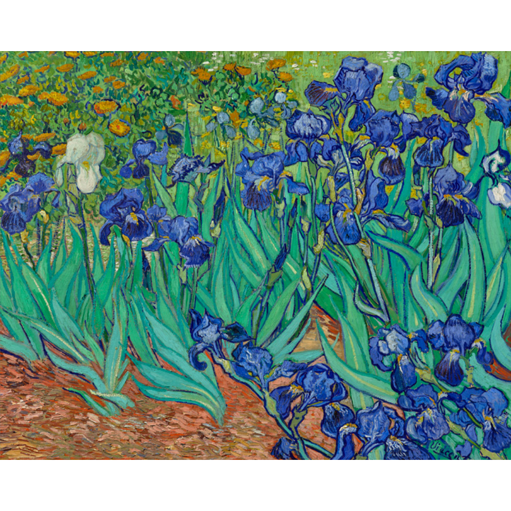 Van Gogh: Irises