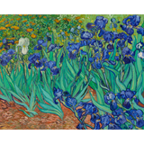 Van Gogh: Irises