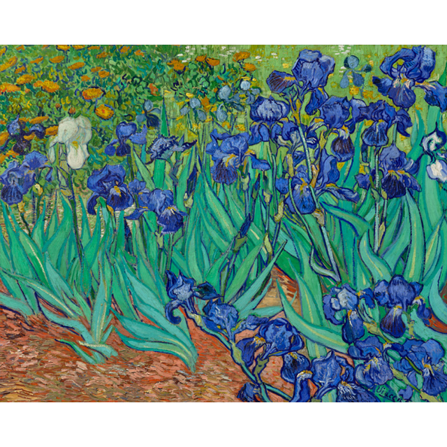 Van Gogh: Irises
