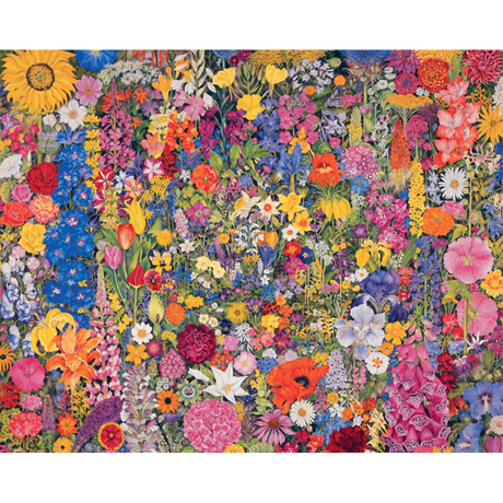 Rosalind Wise: Flower Cycle