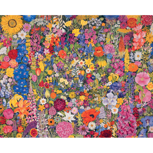 Rosalind Wise: Flower Cycle
