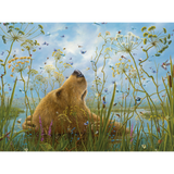 Robert Bissell: The Whole World