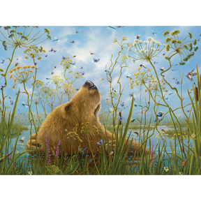 Robert Bissell: The Whole World