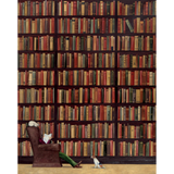 Rebecca Campbell: Do Not Disturb