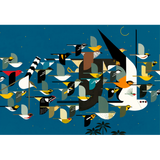 Charley Harper: Mystery of the Missing Migrants