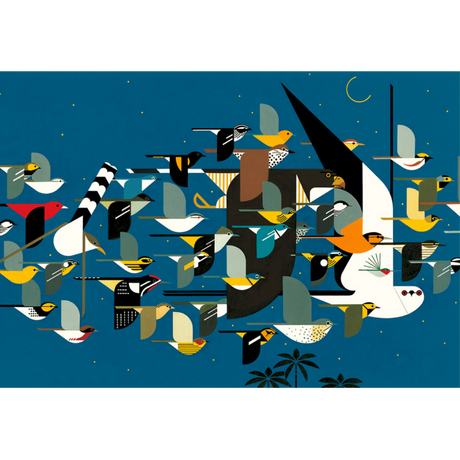 Charley Harper: Mystery of the Missing Migrants