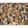 Ditz: Double Cat-Spread