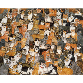 Ditz: Double Cat-Spread