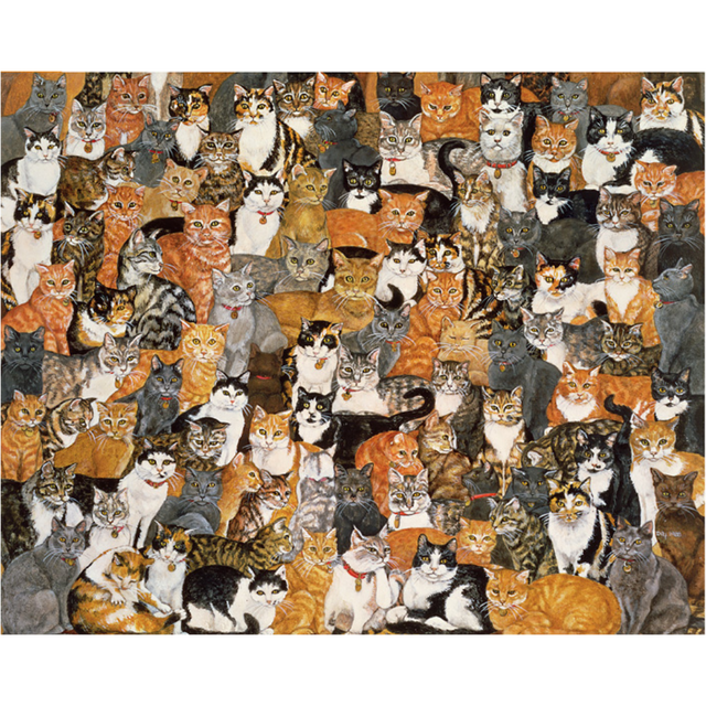Ditz: Double Cat-Spread