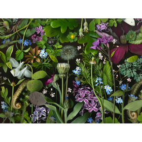 Deb Stoner: Siri's Lilac