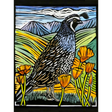 Molly Hashimoto: California Quail