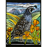 Molly Hashimoto: California Quail