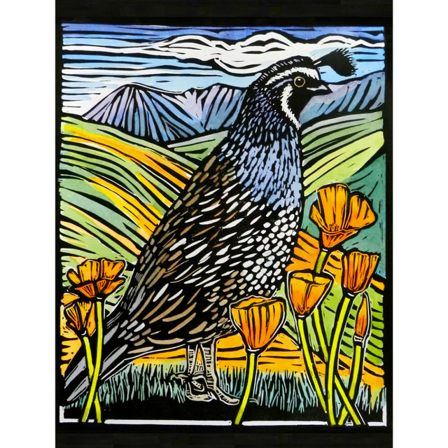 Molly Hashimoto: California Quail