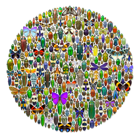 Christopher Marley: Macrocosm