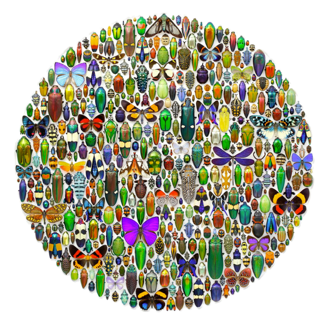 Christopher Marley: Macrocosm