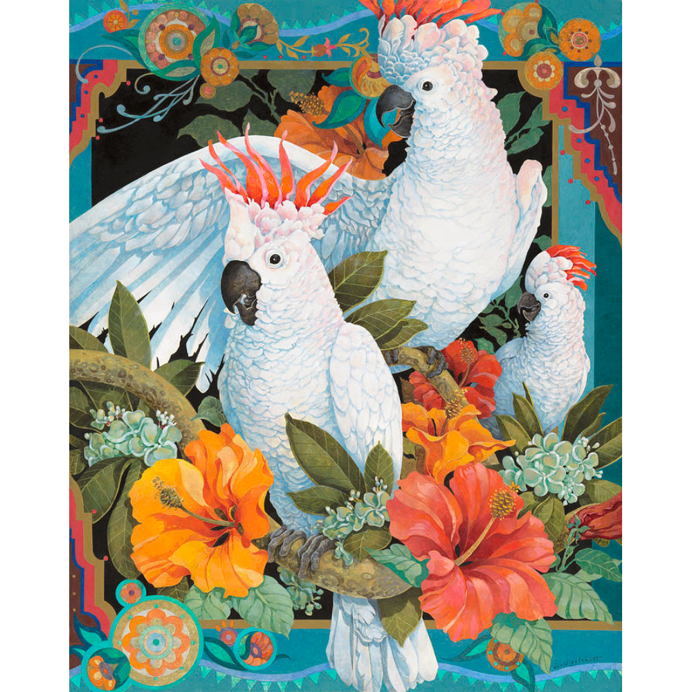 David Galchutt: Tropical Trio
