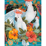 David Galchutt: Tropical Trio