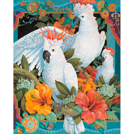 David Galchutt: Tropical Trio