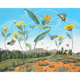 Phyllis Shafer: Swallowtail Dance