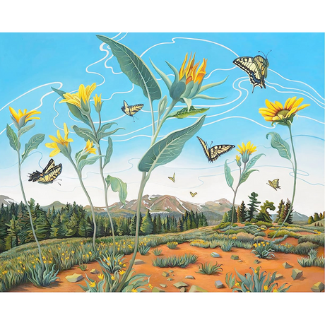 Phyllis Shafer: Swallowtail Dance